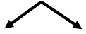 flecheV